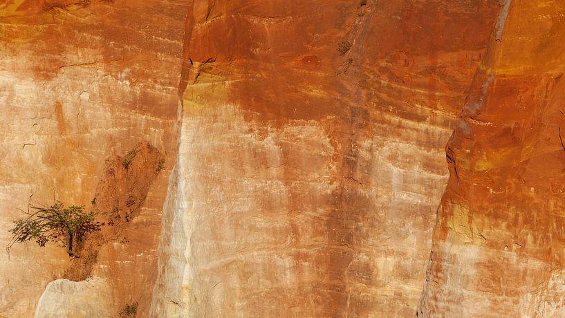 Lonely tree on red rocks by Dick Doorduin