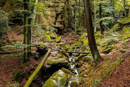 Mullerthal, 'Petite Suisse' ; Luxembourg