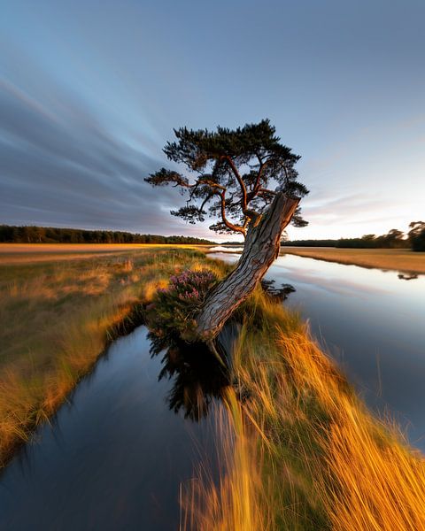 Horizon infini par fernlichtsicht