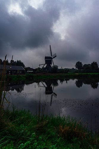 Molen ter Leede (moody)