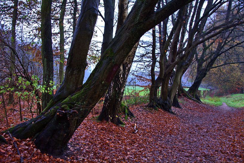 Vue du sentier de randonnée 1 par Edgar Schermaul