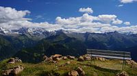 Een bank tussen drie jaargetijden in Tirol (Oostenrijk)