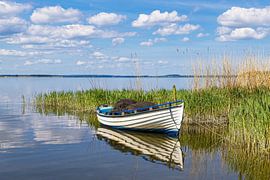 Fischerboot am Achterwasser bei Warthe auf der Insel Usedom von Rico Ködder