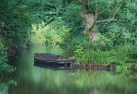 Boat in Park