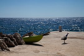 Sea view with a peacock by Daan Ruijter