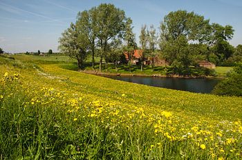 Frühling im Ooijpolder