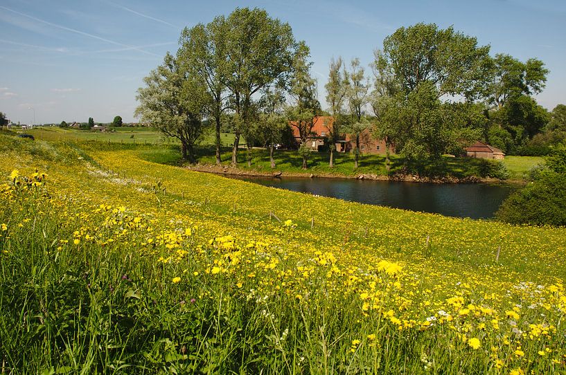 Frühling im Ooijpolder von Paul van Slobbe