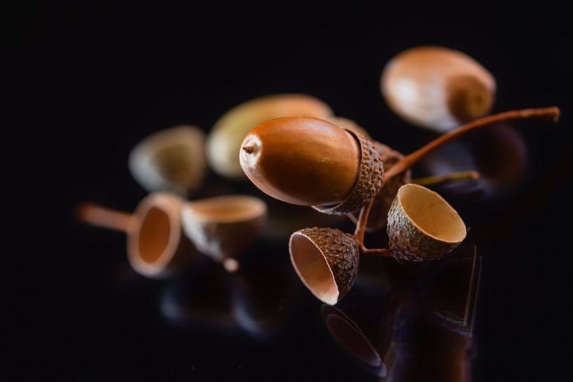 Autumn by Jean Arntz