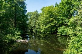 Tiergarten Berlin