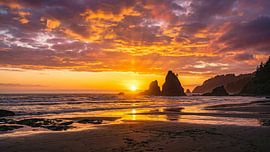 Coucher de soleil doré sur les stacks côtiers sur Markus Gann