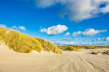 Landscape with dunes on the North Sea island Amrum, Germany van Rico Ködder