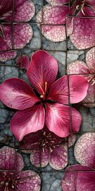 Lotus by MNS Designs