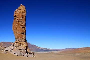 Atacama sur Antwan Janssen