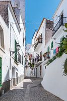 Ibiza-Stadt Dalt Vila