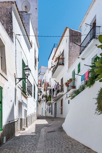 Ibiza-Stadt Dalt Vila von Jan van Suilichem