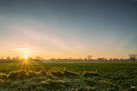With still a little fog the sun comes through, beautiful light of yellow orange blue.