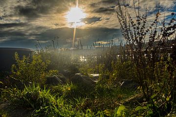 Herbstsonne, Gegenlicht. von Jakob Huizen van