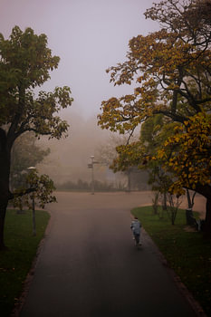 A Misty Cycle Ride through the Vondelpark