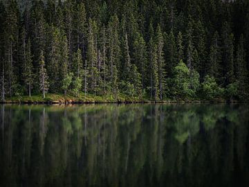 Rest by Caatje Clicks