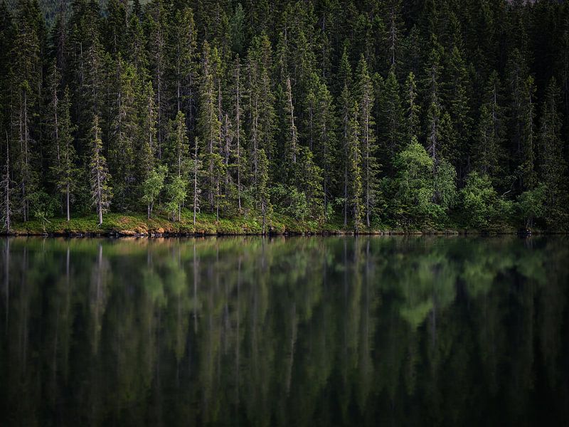 Rest by Caatje Clicks