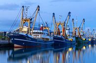 Bateaux de pêche dans le port du bouclier parent par Everydayapicture_byGerard  Texel Aperçu