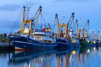 Fishing boats in the port of parent shield