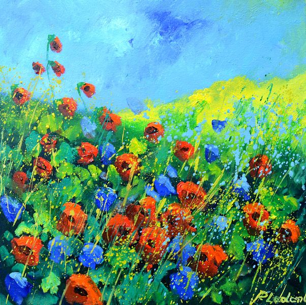 Poppies in der Provence 44 von pol ledent