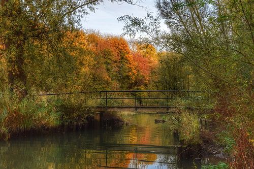 Klein profijt, een mooi verwilderd natuurgebied bij de Rhoonse grienden..