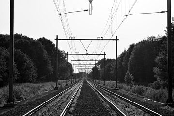 View of the track by Jan Verschoor