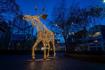 Lichtobject Henry the Moose in Deventer van VOSbeeld fotografie
