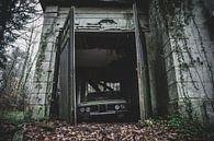 Abandoned car by Myron van Ruijven thumbnail