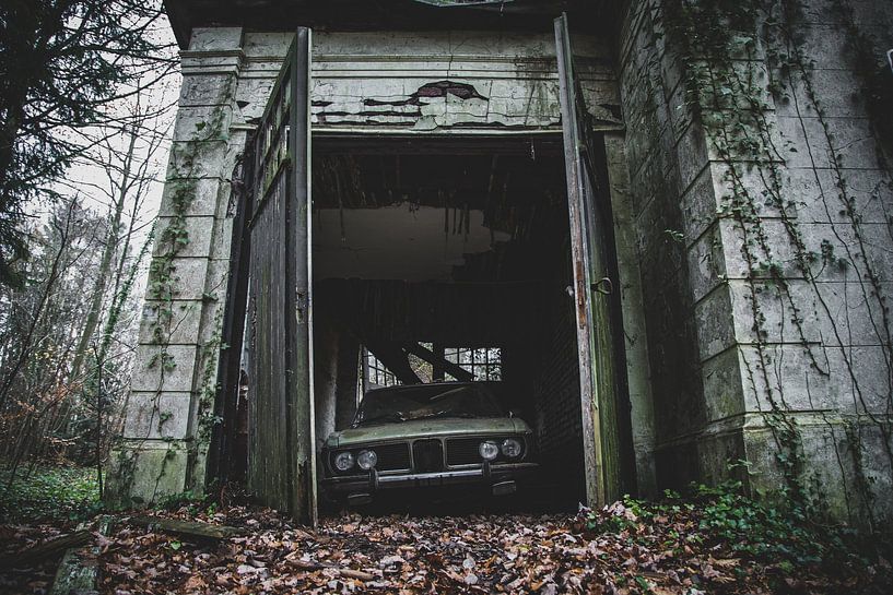 Abandoned car by Myron van Ruijven