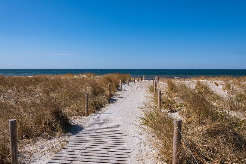Path to the beach by Peter Baier