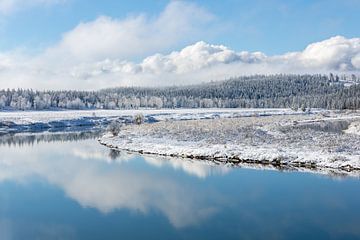 Winterlandschap en reflectie in Grand Teton National Park van Dennis en Mariska