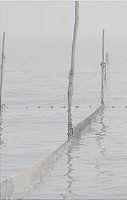 Visnetten Afsluitdijk