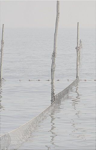 Visnetten Afsluitdijk
