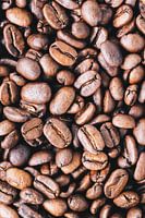 Nahaufnahme von frischen Kaffeebohnen l Lebensmittel-Fotografie