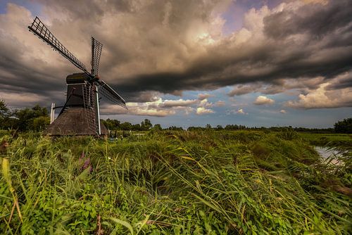 Spiderhead mill the Wicher