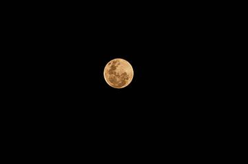 Moon seen from Curaçao by Karel Frielink