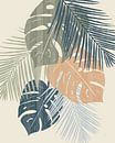 Monstera vi, Sarah Adams van Wild Apple thumbnail
