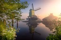 Misty morning in Zaanse Schans van Costas Ganasos thumbnail