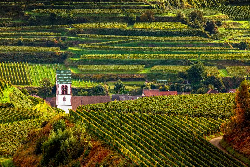 Dorf im Weinberg von Jürgen Wiesler