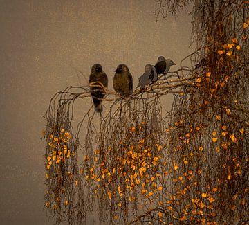 Atmosphärisches Bild von Krähen im Herbstbaum von natascha verbij