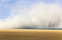 Sandstorm |