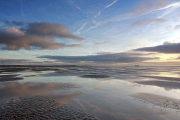 De Hors Texel van Ronald Timmer