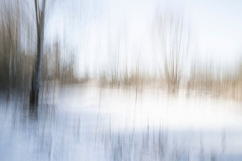 Een abstract landschap in de sneeuw - 27 van Danny Budts