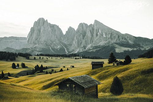 Zonsopgang op de Alpe di Siusi, Dolomieten.