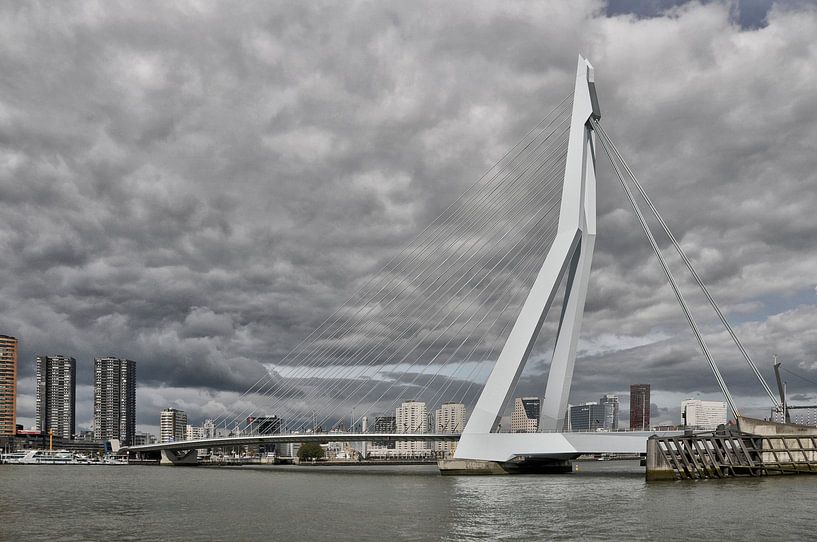 Rotterdam met de Erasmus brug. von Tilly Meijer