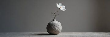 One white flower in clay vase panorama by Digitale Schilderijen