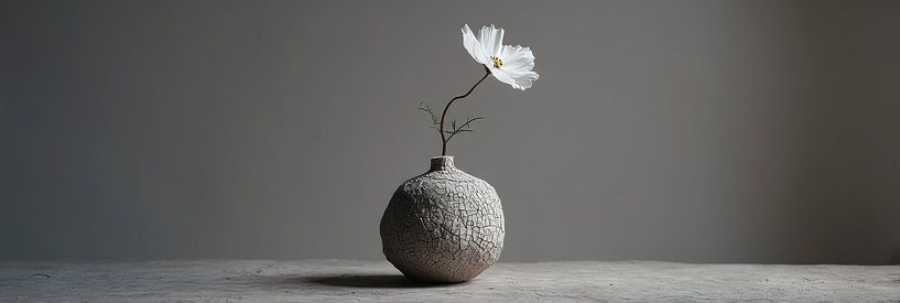 One white flower in clay vase panorama by Digitale Schilderijen